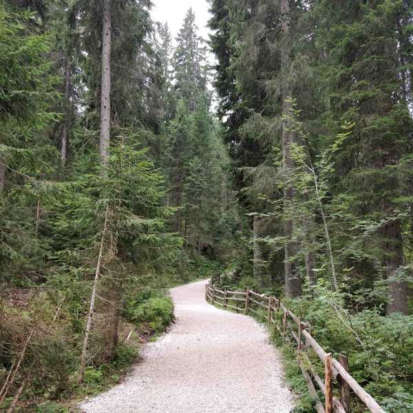 Trail around the Lago di Carezza