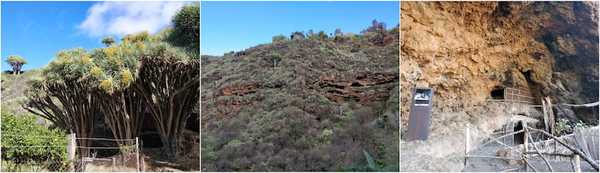 Buracas caves, La Palma.